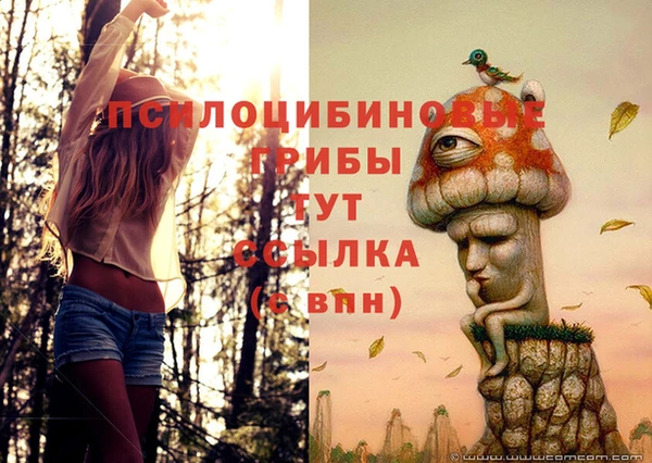 марки nbome Алексеевка